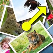 Image Spinner app icon