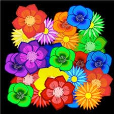 Image of flowers app for cause and effect