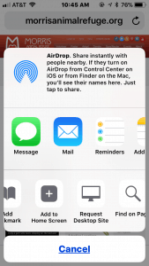 Image of iPhone screen with Add to Home screen icon