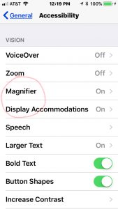 Image of Vision Accessibility setting on iPhone