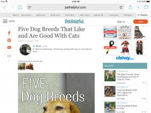 Image of web page about dogs who are good with cats