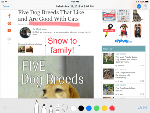 Image of a marked up PDF from a Safari web page