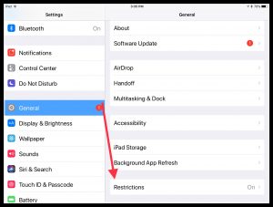 Image of restrictions settings on the iPad