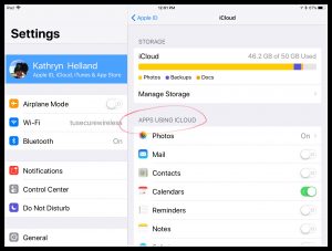 Image of iCloud settings on iPad
