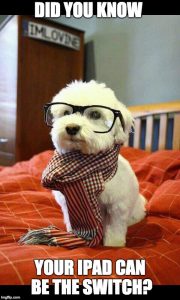 Image of smart dog with glasses
