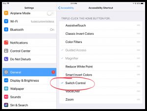 Image of Switch Control setting oniPad