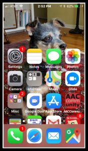 Image of iPhone screen with Reachability enabled.