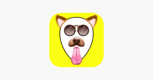 Image of FaceSnap app icon
