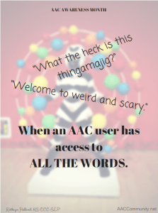 Image of a very weird statue and some quotes from an AAC user.